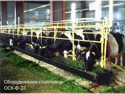 Оборудование стойловое для коров Кургансельмаш ОСК-Ф