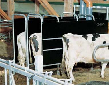 Бокс для раздачи комбикорма GEA DaryFeed C 800