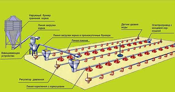 Оборудование для напольного выращивания бройлеров НЗСМ ОПБ