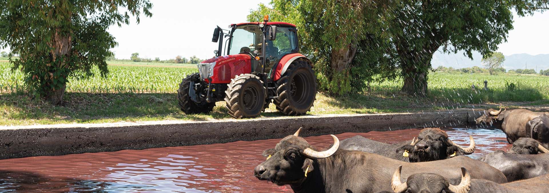 Трактор McCormick X5.085