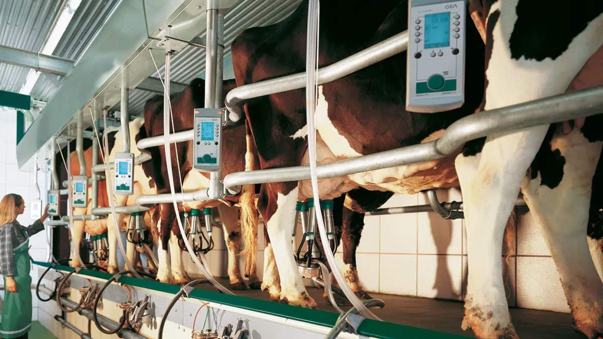 Блок управления процессом доения DeMax 60