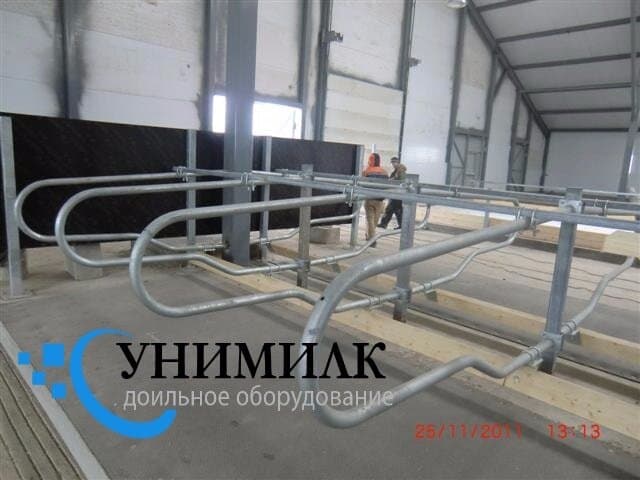 Беспривязное содержание КРС Унимилк без привязи